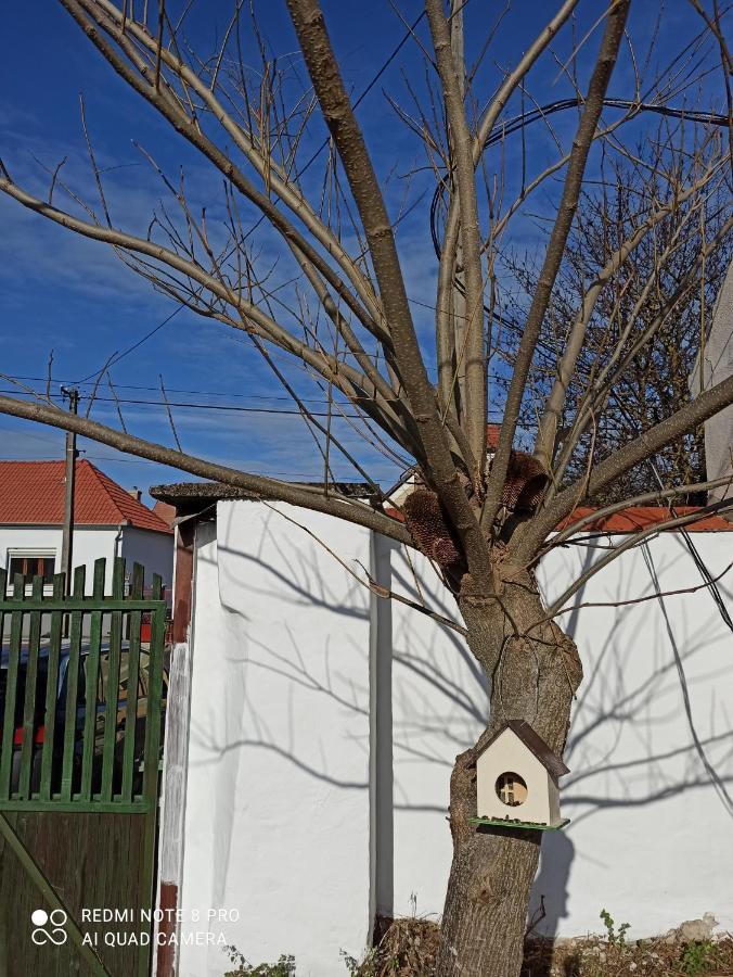 Vila Fuszeres Porta Mihalyfa Exteriér fotografie