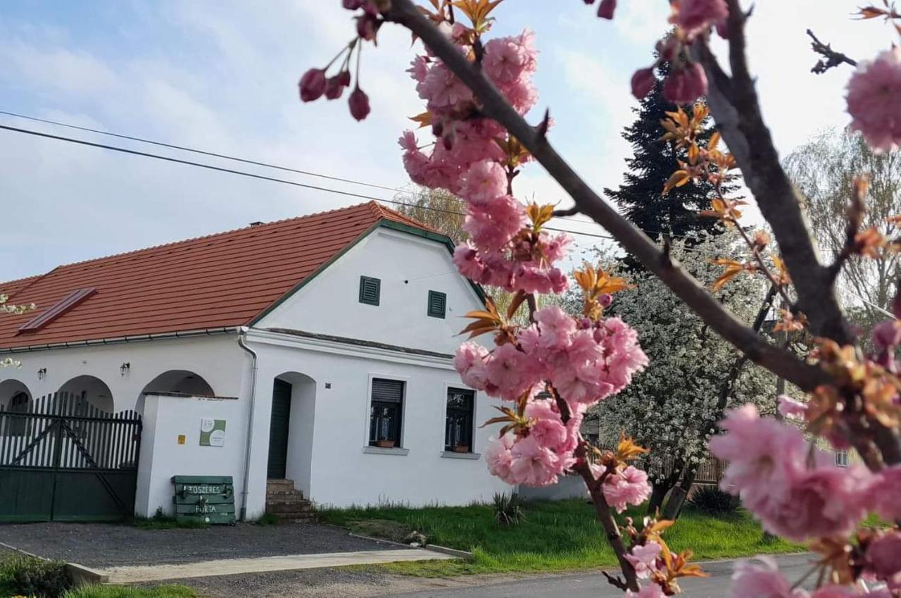 Vila Fuszeres Porta Mihalyfa Exteriér fotografie